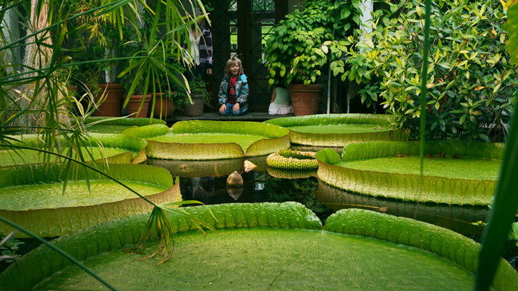 Botanical Garden (Oslo)